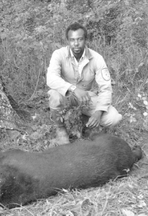 A black and white portrait of a black man -- A Fish and Wildlife Service employee, squatting behind a sedated, trapped bear