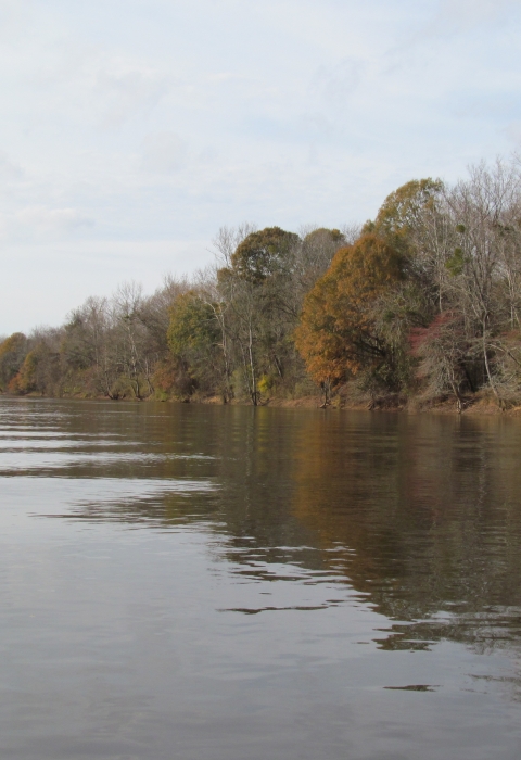 A mix of orange and bare trees line a broad, calm river