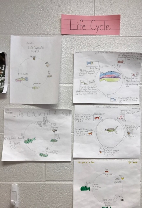 School work completed by students participating in the Trout in the Classroom program