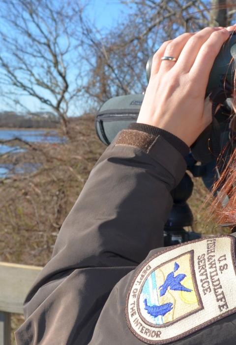 A woman in a U.S. Fish and Wildlife Service uniform using binoculars to look out over water