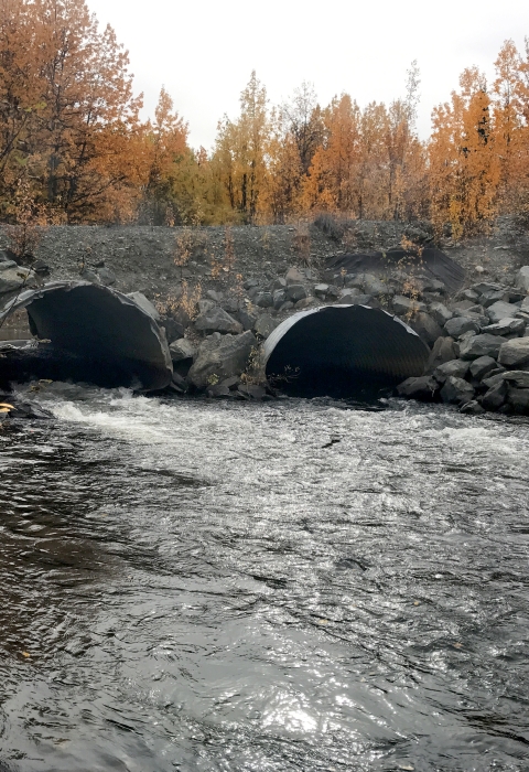 looking up two culverts in fall foliage