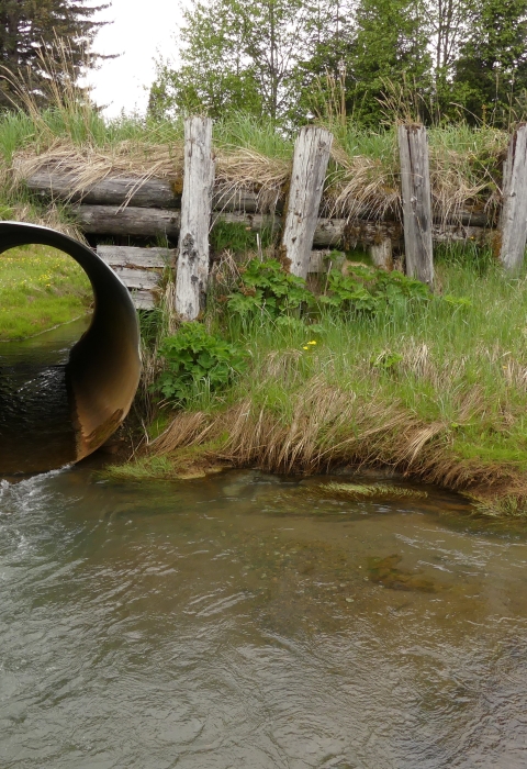 a round culvert with a wooden embankment