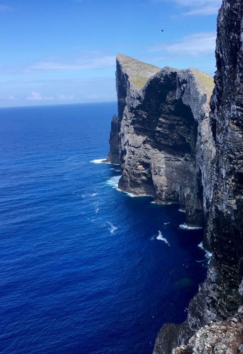 Steep cliffs leading to blue ocean on Nihoa island