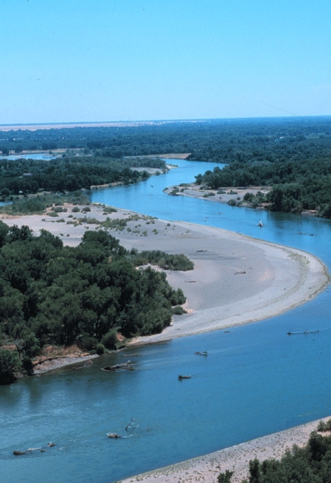 sacramento river riparian aerial photo of river channel and riparian forest on each side