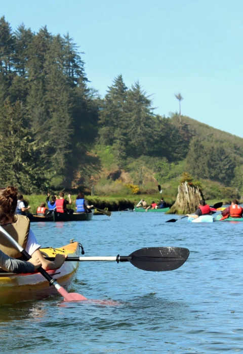 Guided water tour on a river with people in canoes.
