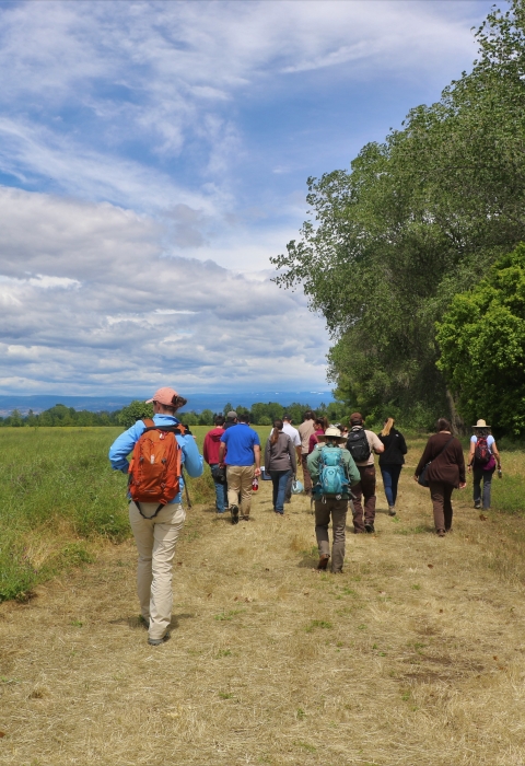 A dozen people walk along a trail with wetlands on one side and trees on the other.