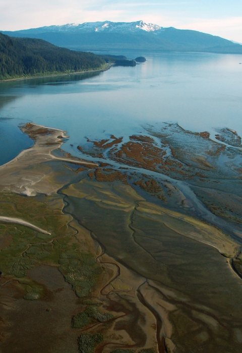 Aerial view of coastal wetland at low tide with snow capped mountains in the background.