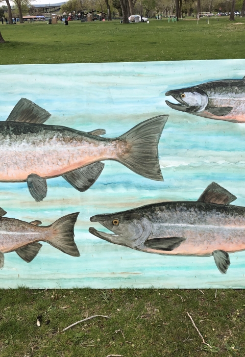salmon art on a wooden panel