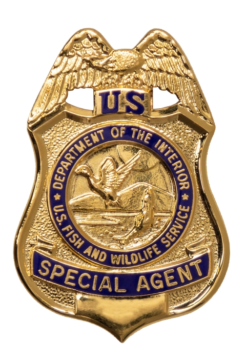 Special Agent badge