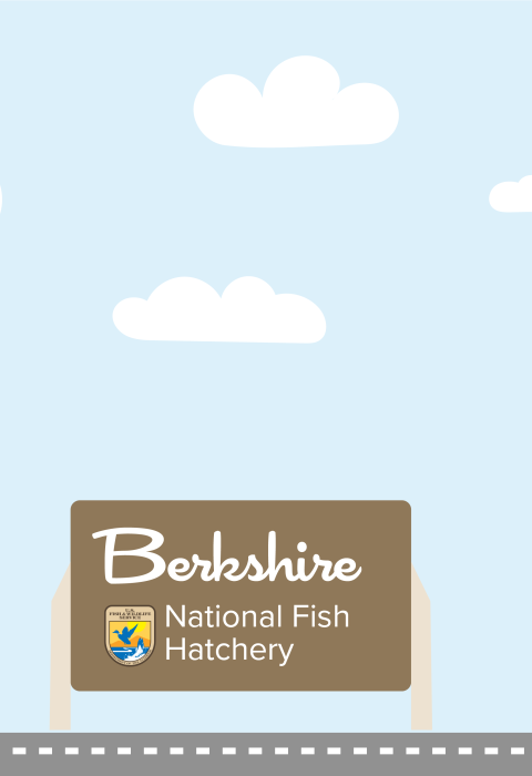 A graphic featuring a light blue sky with puffy clouds. At the bottom of the graphic, a fish drives a car along a road toward a sign that reads "Berkshire National Fish Hatchery"
