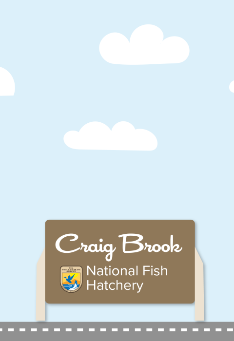 A graphic featuring a light blue sky with puffy clouds. At the bottom of the graphic, a fish drives a car along a road toward a sign that reads "Craig Brook National Fish Hatchery"