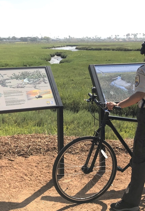 A woman wearing a brown U.S. Fish and Wildlife Service uniform reading two interpretive panels at the side of a grassy expanse bisected by a meandering slough
