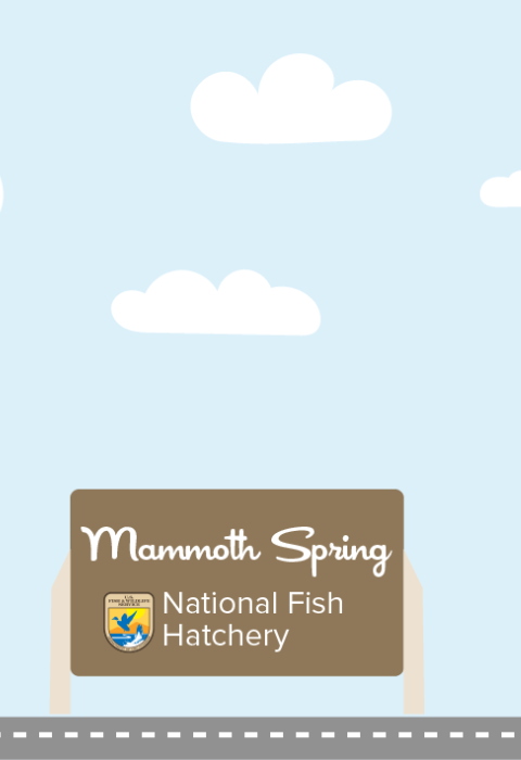A graphic featuring a light blue sky with puffy clouds. At the bottom of the graphic, a fish drives a car along a road toward a sign that reads "Mammoth Spring National Fish Hatchery"