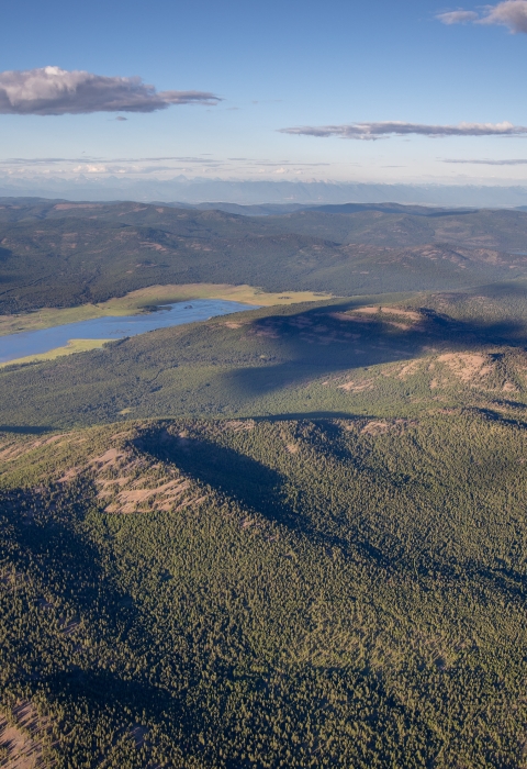 aerial view of forested area, water