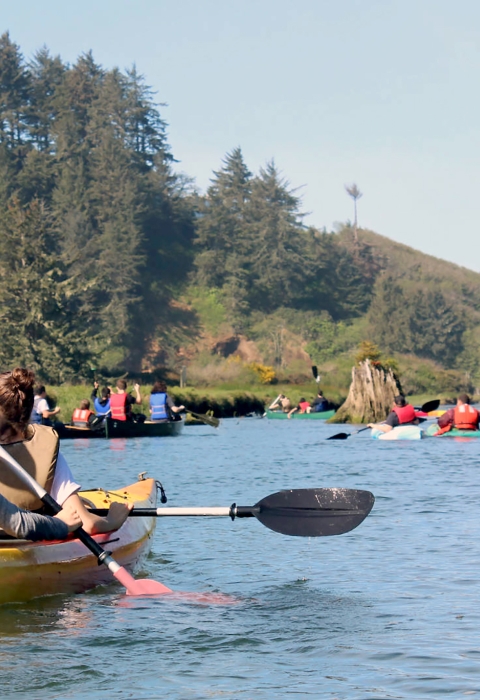 Guided water tours of Siletz Bay and Nestucca Bay National Wildlife Refuges.