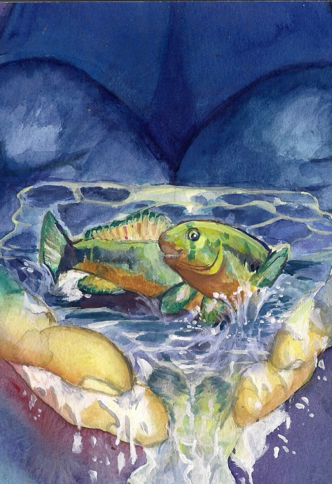 Painting of two hands holding water with two fish in them. 