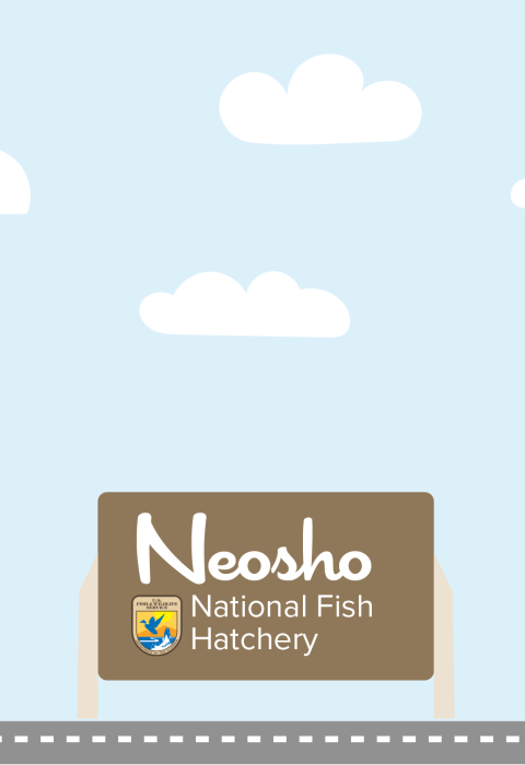 A graphic featuring a light blue sky with puffy clouds. At the bottom of the graphic, a fish drives a car along a road toward a sign that reads "Neosho National Fish Hatchery"
