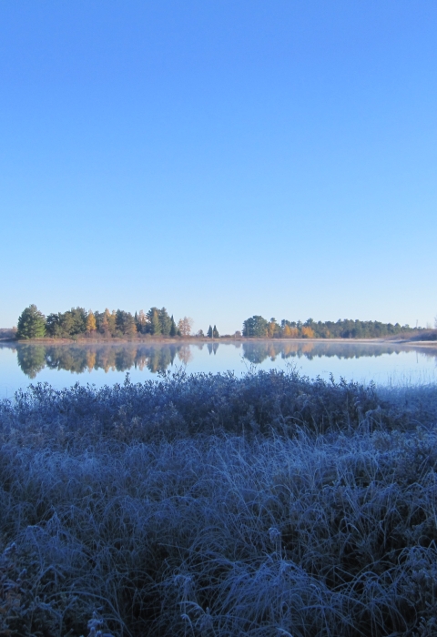 Frosted grasses in the foreground of a waterbody.