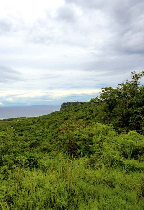 A coastal view of Guam National Wildlife Refuge that overlooks the ocean. The land is covered in lush, green plant live. The clouds paint a grey hue across the sky where it meets the ocean in the distance.
