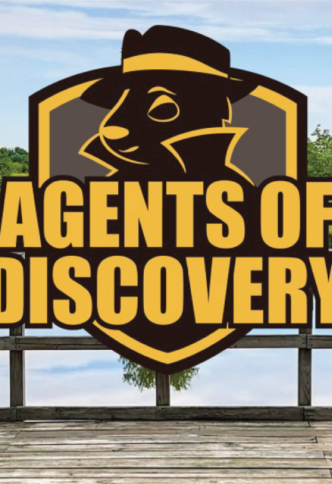 The dock at Painted Turtle Pond featuring the Agents of Discovery badge and Agent Oppossum