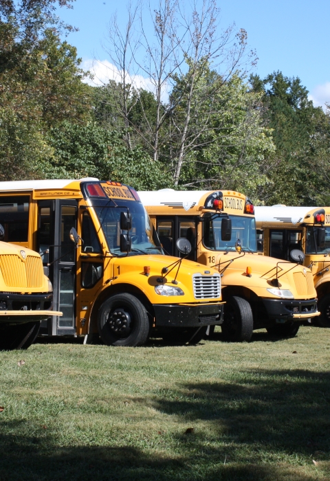 School buses lined up in a field