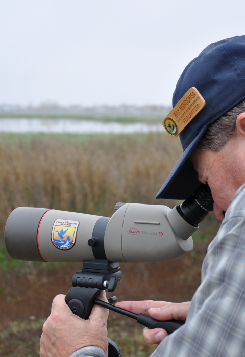 Docent Guided Walk at Stone Lakes NWR
