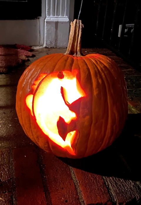 How to Keep Pumpkins Safe for Wildlife . Fish & Wildlife Service