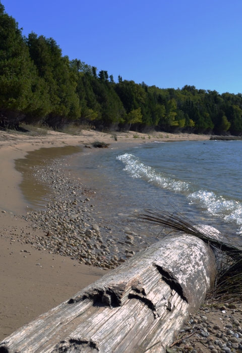 wave crashing on sandy shoreline