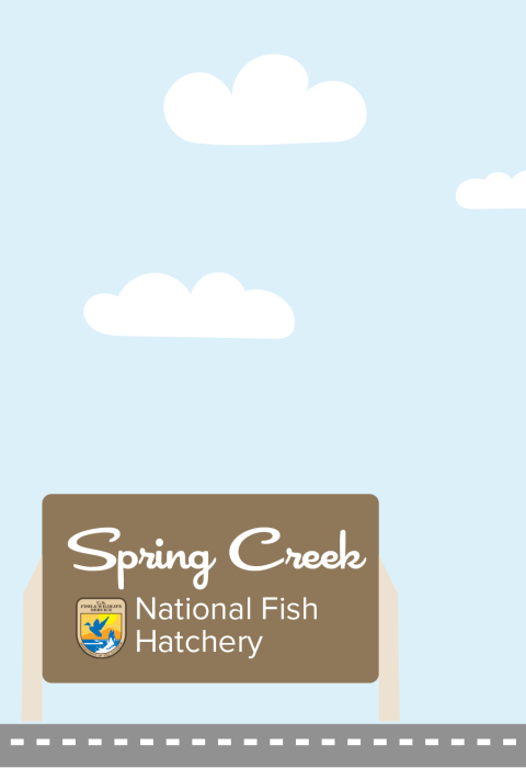 A graphic featuring a light blue sky with puffy clouds. At the bottom of the graphic, a fish drives a car along a road toward a sign that reads "Spring Creek National Fish Hatchery"