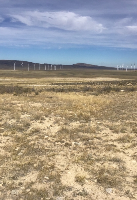 rocky grassy field landscape of Wyoming with wind turbines in the background