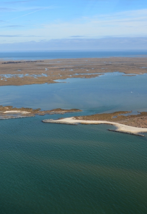 Aerial view of sea and island shows shoreline bolstered by oyster reefs