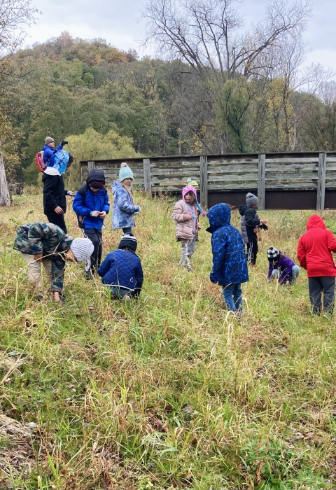 Group of students plant native seeds on stream bank