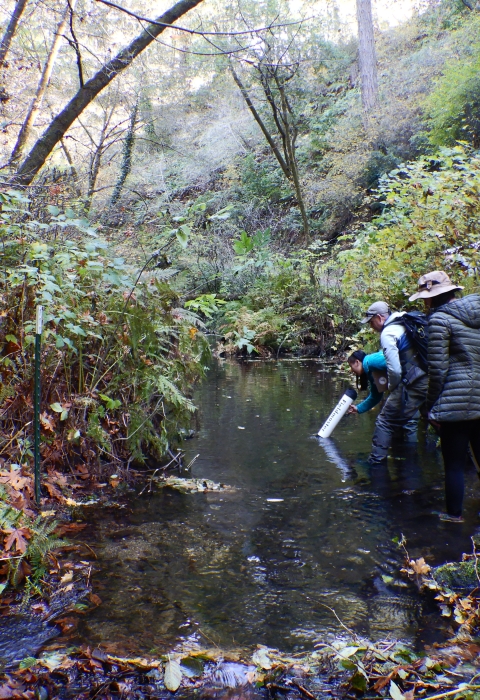 biologists survey a streambed in a forest for mussels using a large underwater scope