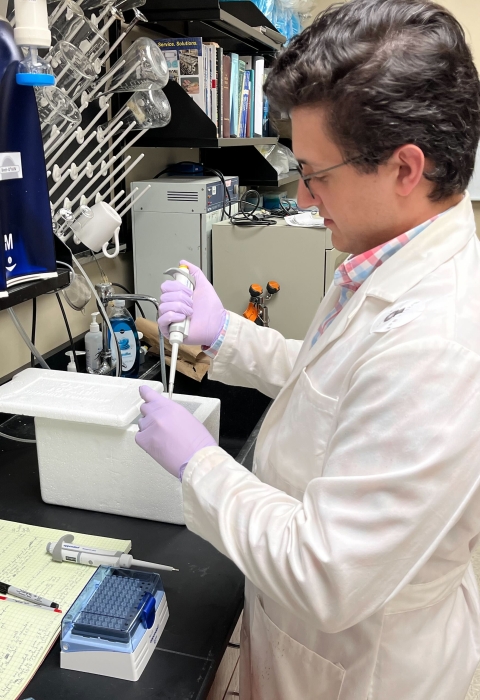 Lab researcher conducting PCR and RNA quantification