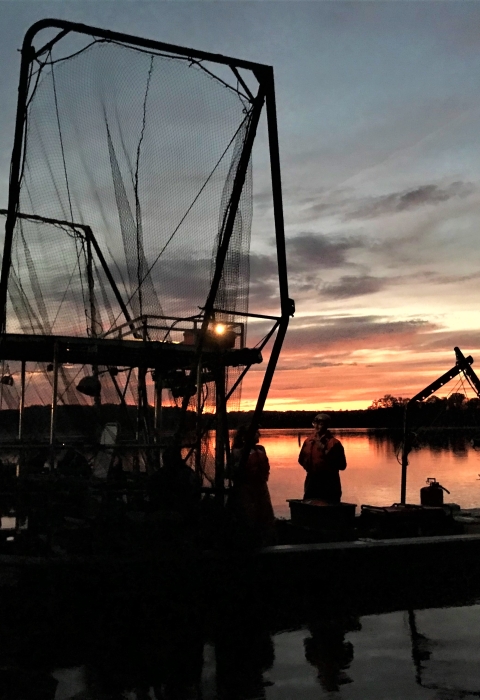 an electrified trawl net boat at sunset