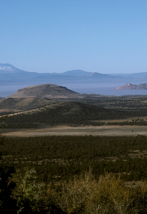 landscape of a plain with a snow capped mountain in the background