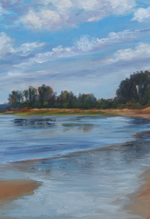 Image of beach front with trees