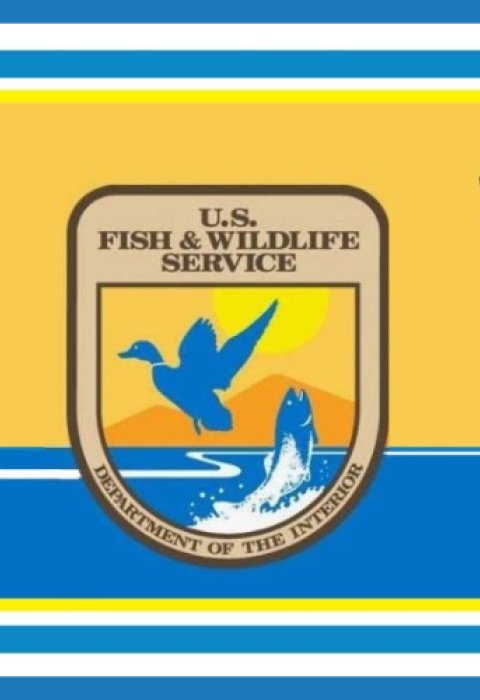 A blue background with the FWS logo centered in the middle. The logo reads WoW - but the 'o' is replaced by the USFWS logo. WoW stands for Women of Wildlife.