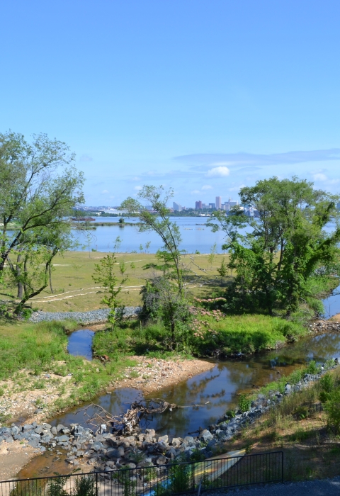 Masonville Cove wetland with Baltimore Skyline in background