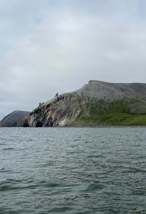 Crowbill Point, covered in green and grey with grass and dirt, stretches into the blue waves of the Chukchi Sea.