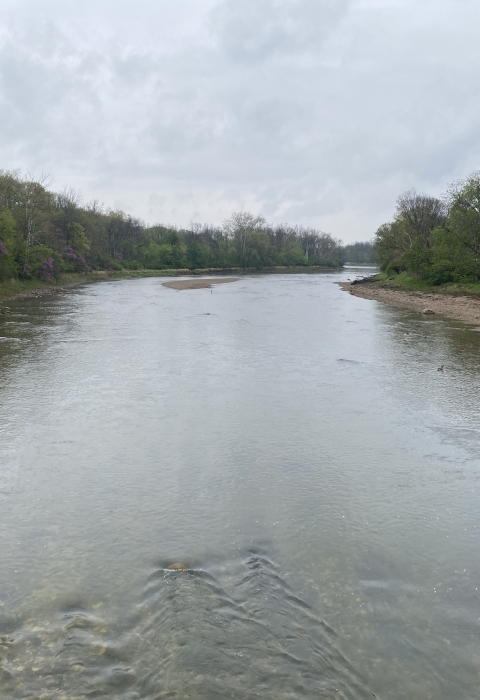 Looking downstream at the free-flowing Eel River following removal of the dam in Logansport