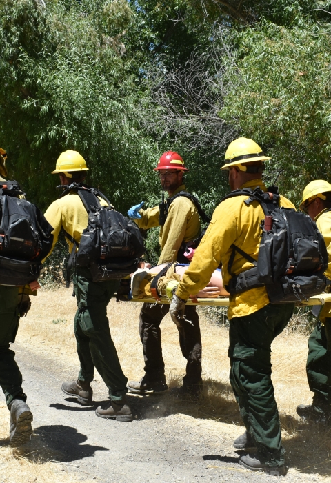Wildland firefighters carry out a patient on a rescue backboard during a training scenario.