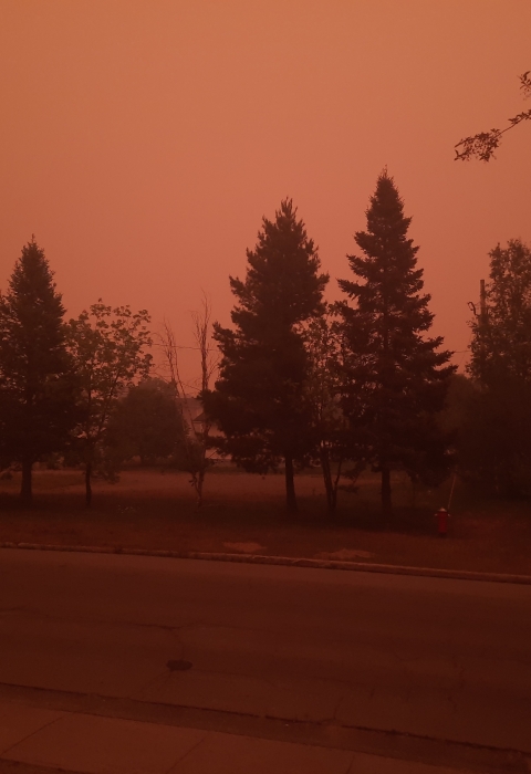 A very redish pink photo of a street with trees. The sky is so dark with smoke it looks like thick pink and red.