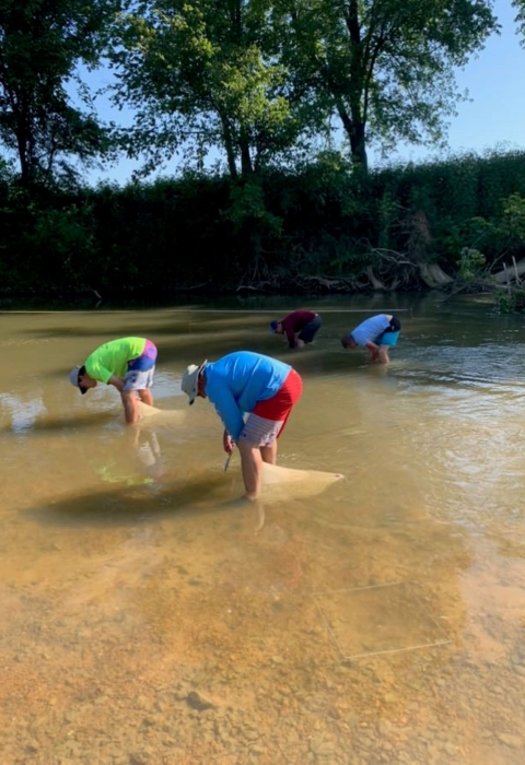 Norfork National Fish Hatchery and Arkansas Game and Fish employees dig quadrats for the mussel survey on Spring River.