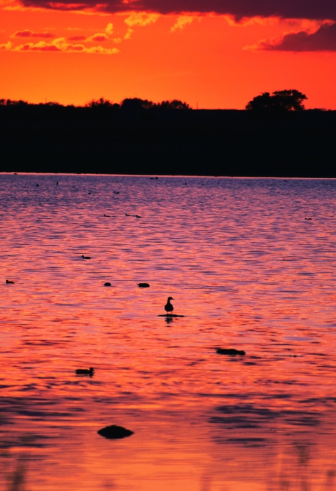 beautiful orange and pink sky at sunset reflects on a lake