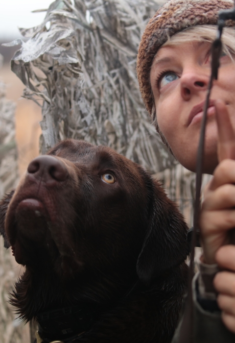 Close up of a chocolate lab and hunter both looking up while in a waterfowl hunting blind.