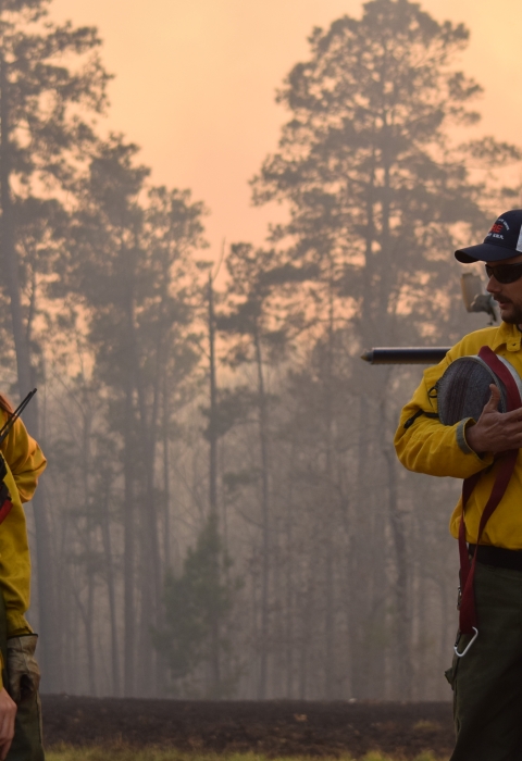 Four firefighters stand next to a helicopter talking. The background is smoky with large trees.