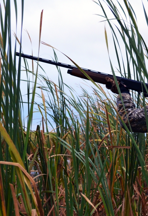 Female standing in tall grass wearing camouflage hunting outfit holding a rifle and aiming to the left.