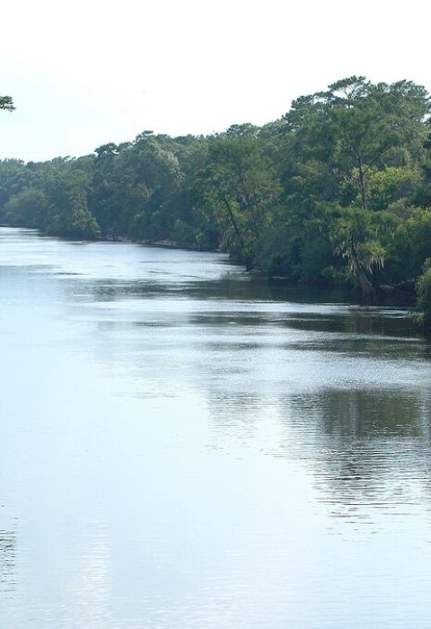 Ochlockonee River in Florida
