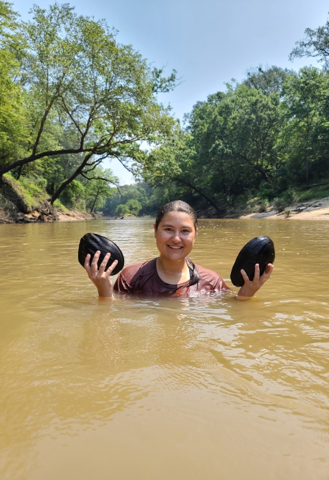 A woman stands in chest-deep water while holding two large black mussels above the water